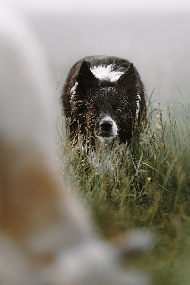 Photograph by Мария