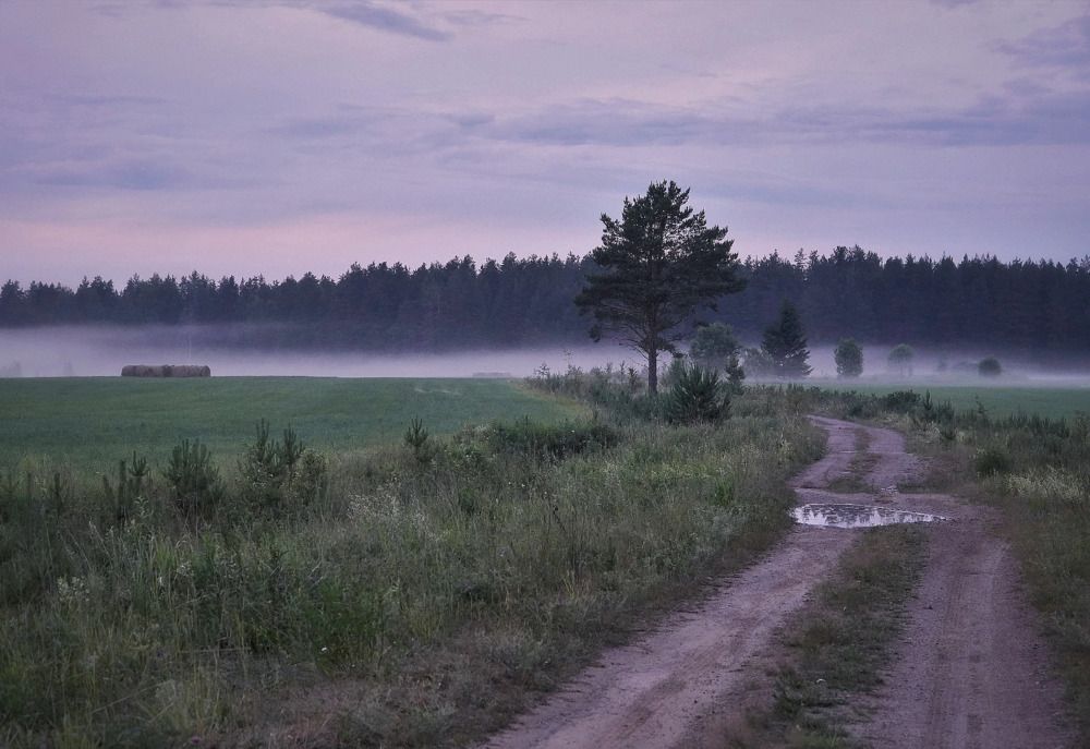 Photograph by Марина Безенкина