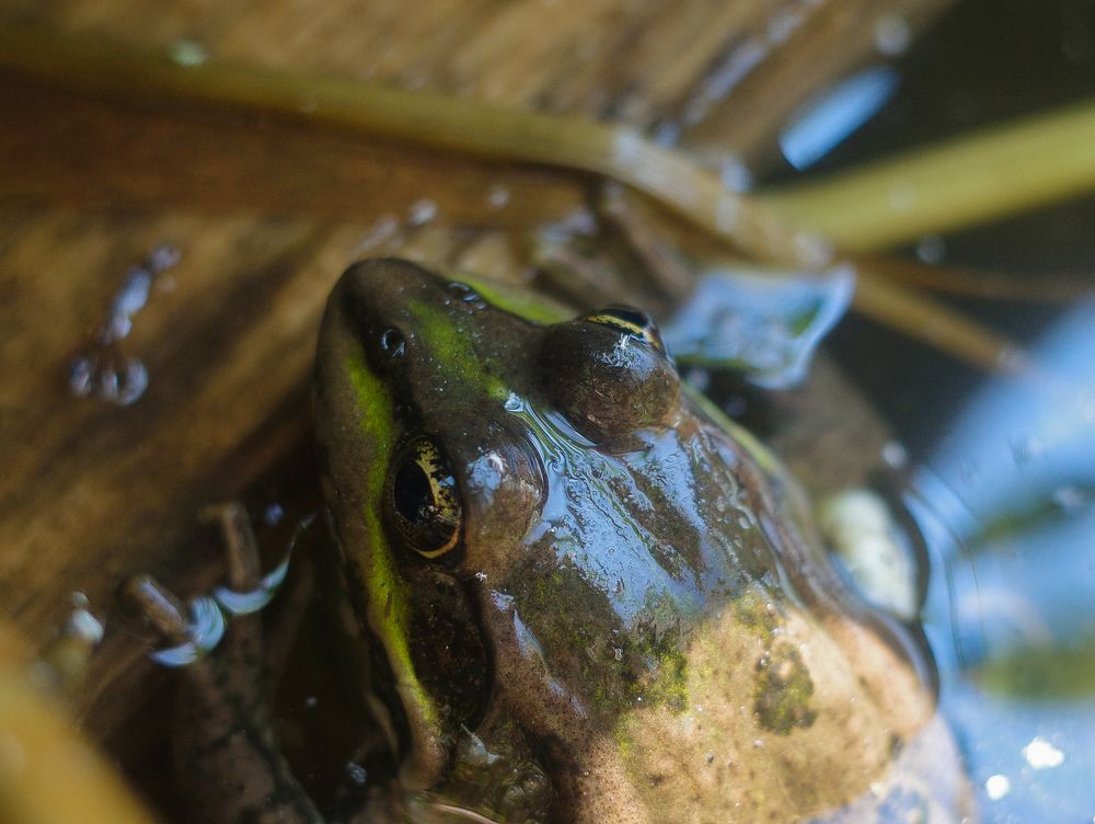 Photograph by Алла Никушкина