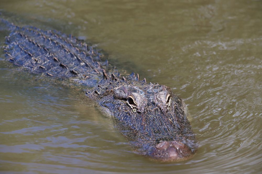 Photograph by Popa Alin