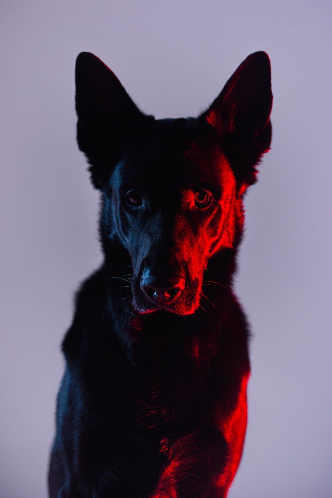 Photograph by Мария