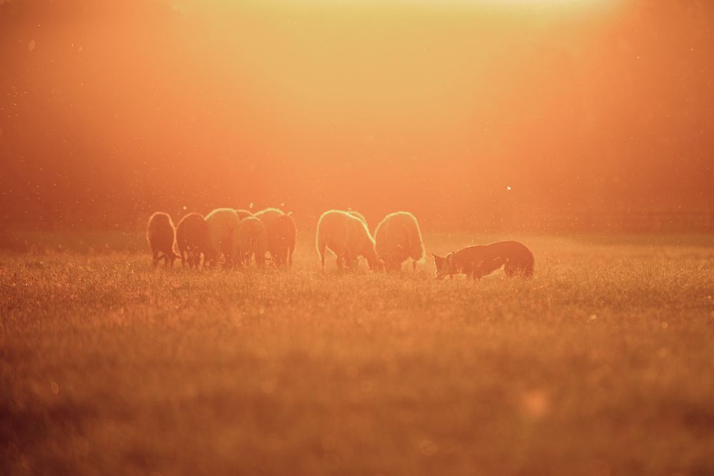 Photograph by Мария