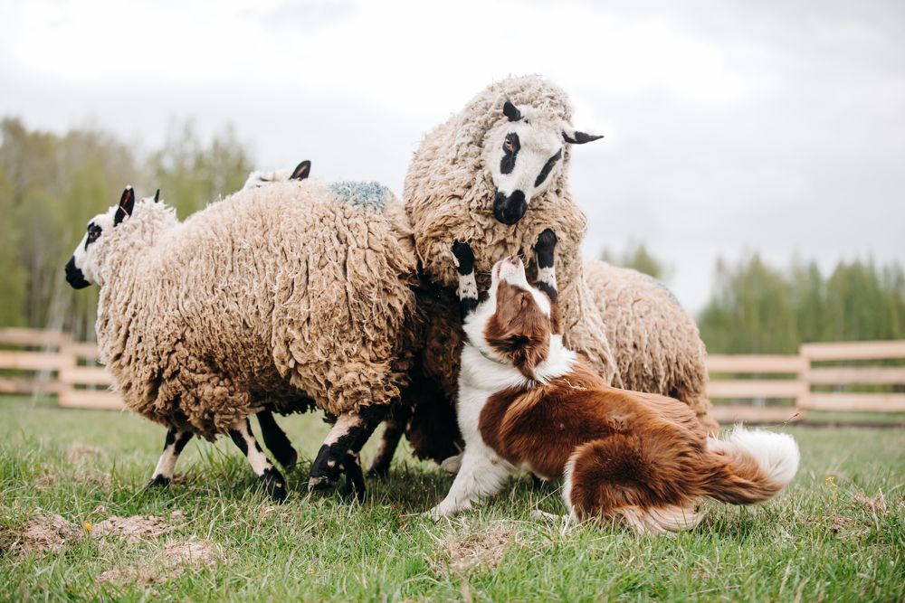 Photograph by Мария