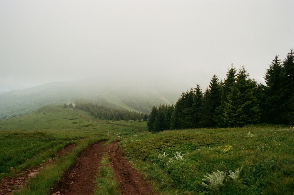 Photograph by Кармаков Матвей