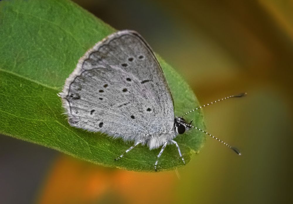 Photograph by Игорь