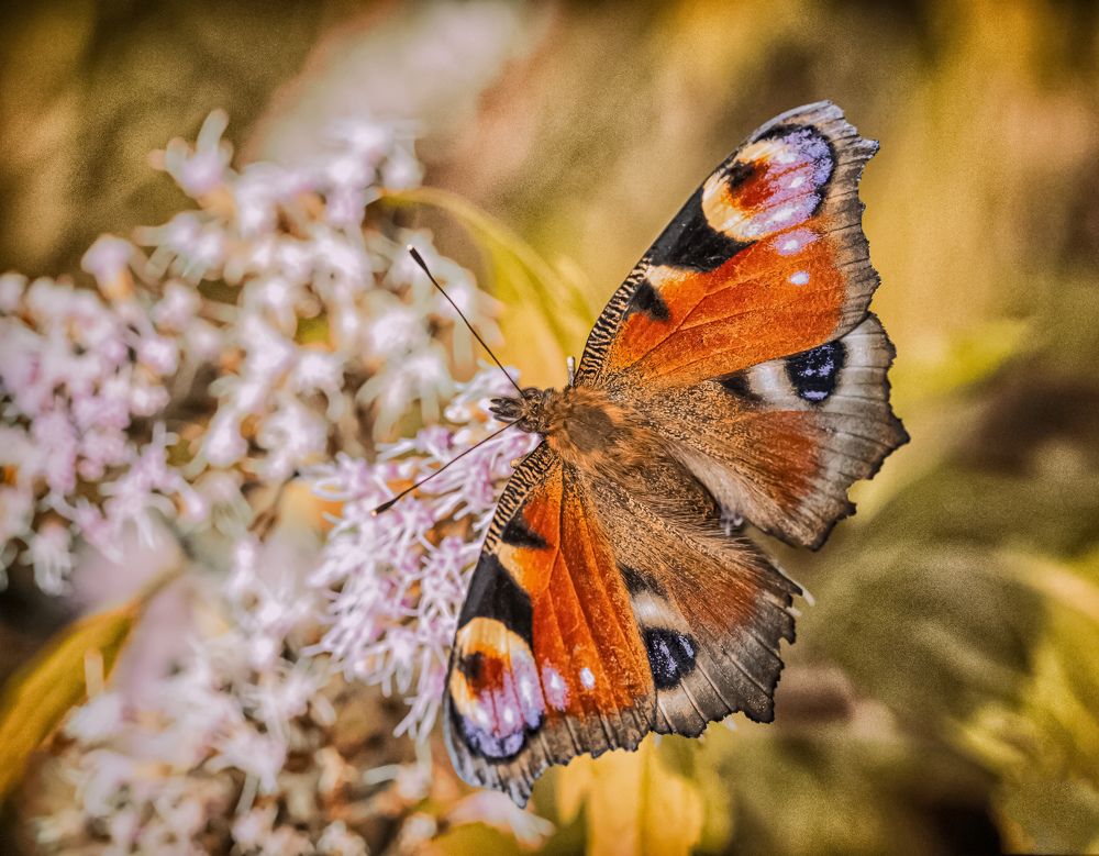 Photograph by Игорь