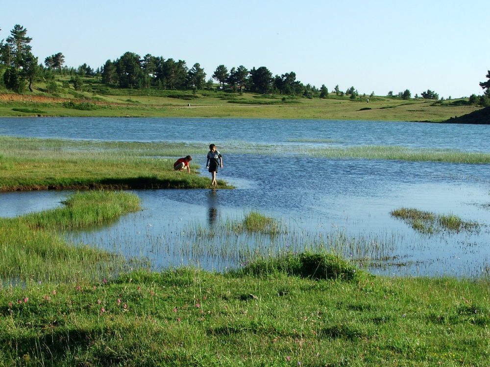 Photograph by Cengiz Yalcin