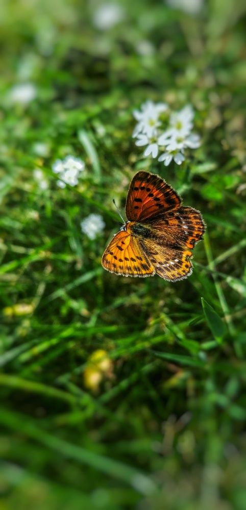 Photograph by Наталья Клячина