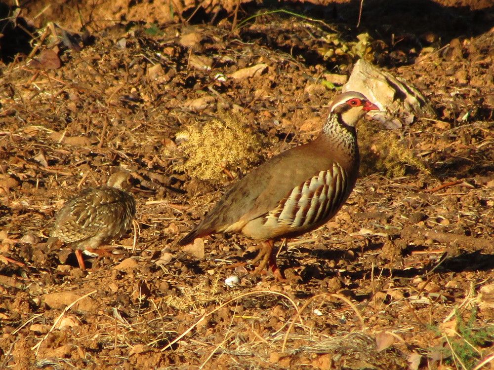 Photograph by Joana Almeida