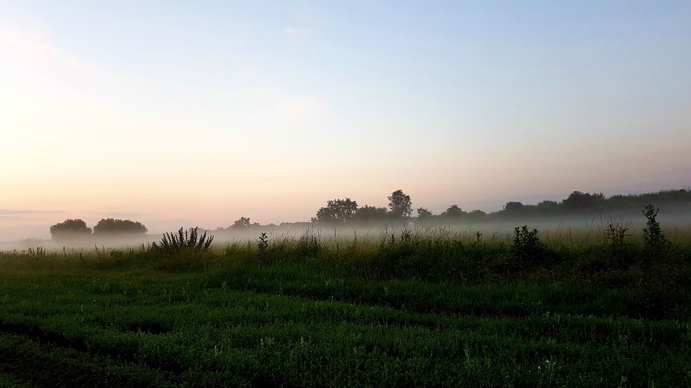 Photograph by Marina Kozlova