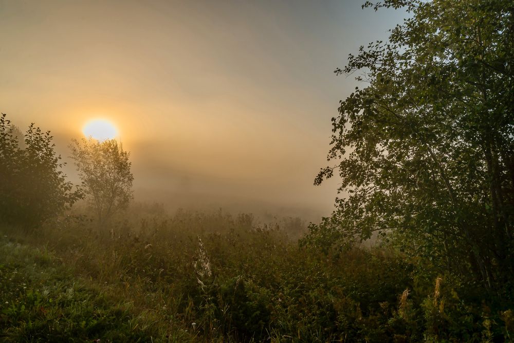 Фотография автора Ольга Егунова