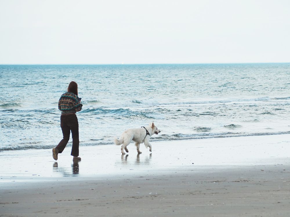 Photograph by Ирина Протченко