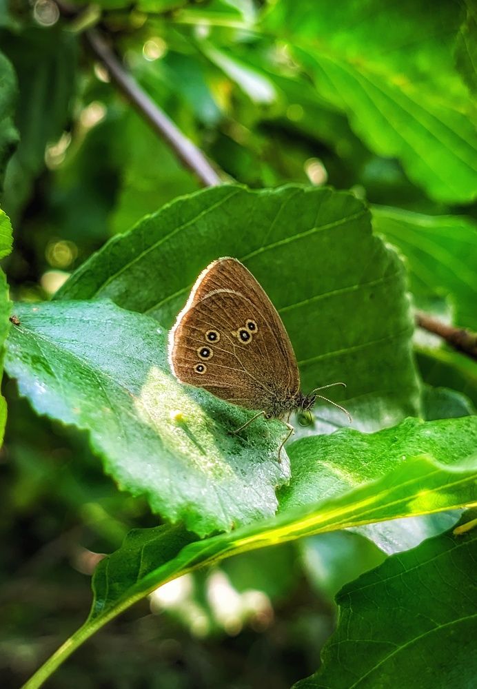 Photograph by Владимир Шаруба