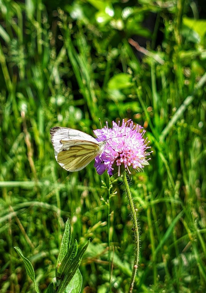 Photograph by Владимир Шаруба