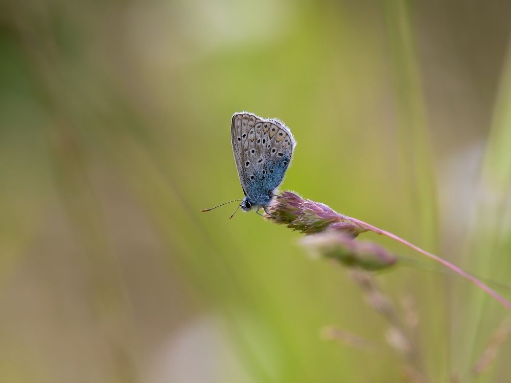 Фотография автора Jaroslav Hanzalík