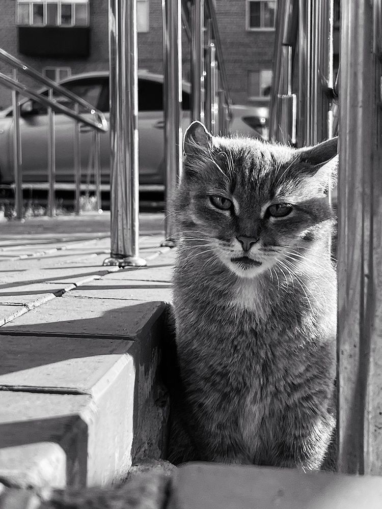 Photograph by Елена Сиушова