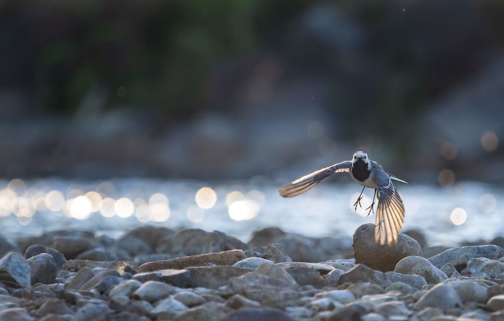 Photograph by Алексей Зайцев