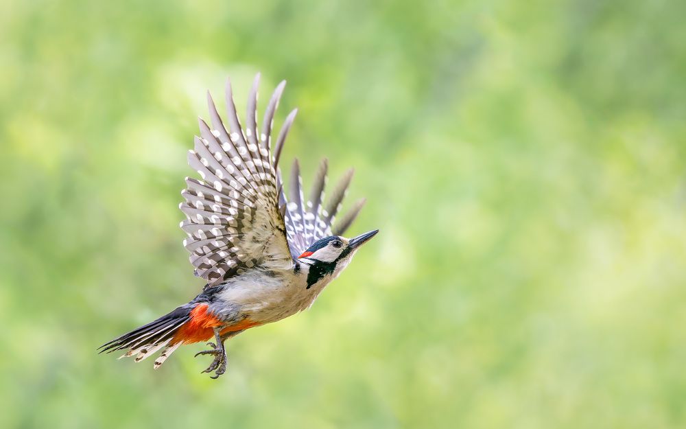 Photograph by Алексей Зайцев