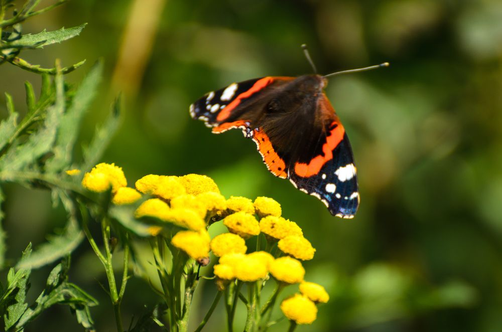 Photograph by Наталья Сафонова