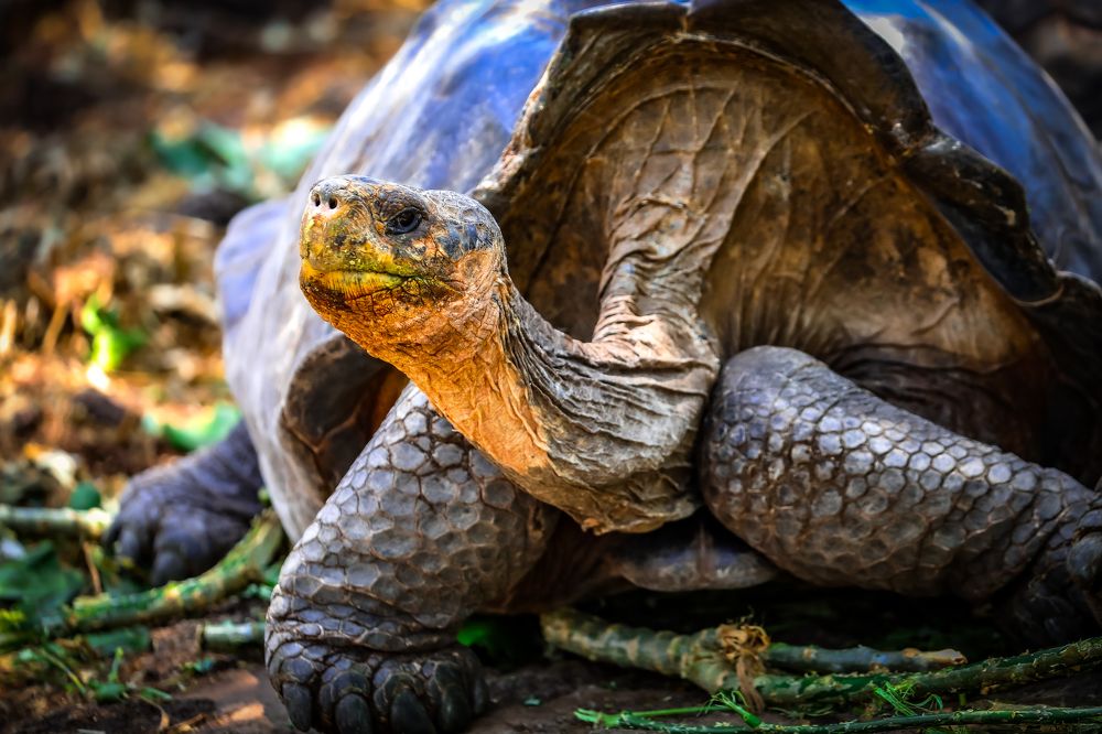 Photograph by Vita Potomova