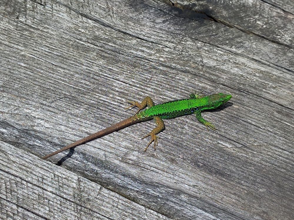 Photograph by Denis Chigintsev