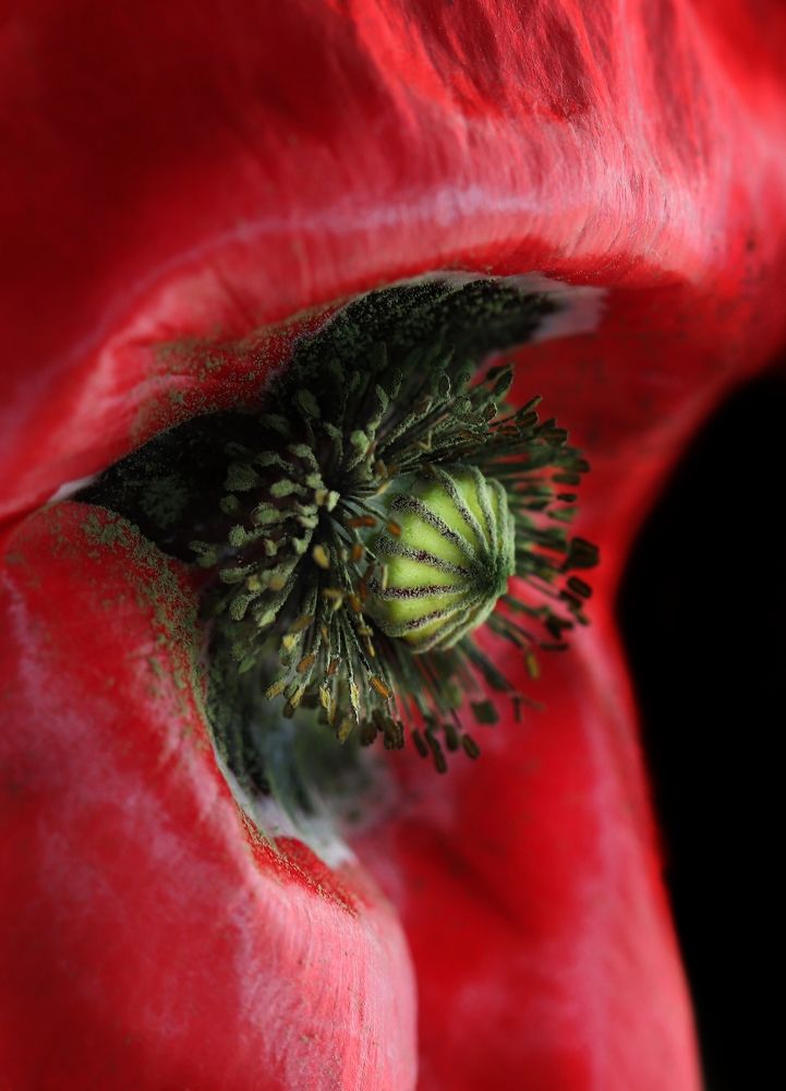 Photograph by Joanna Skopowska