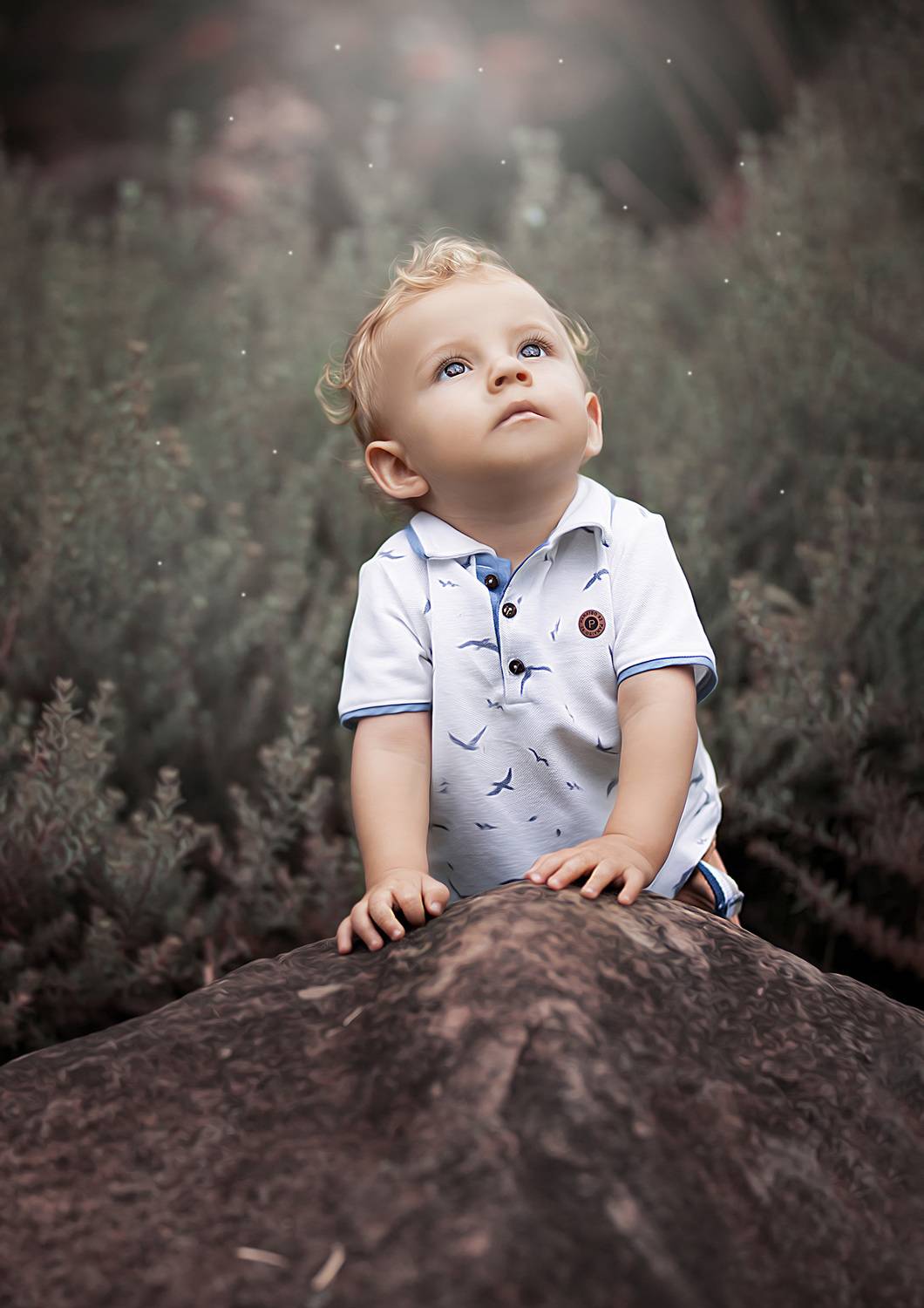 Photo #9283284
