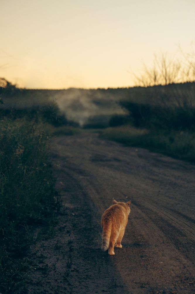 Photograph by Катерина Иванова