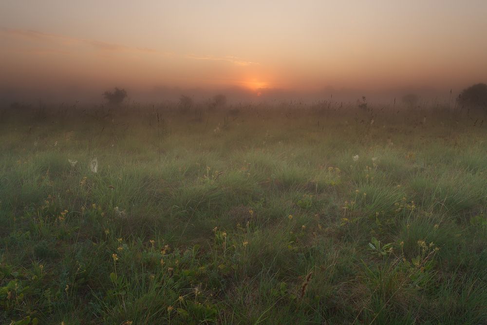 Photograph by Aleksei Degtjarjov