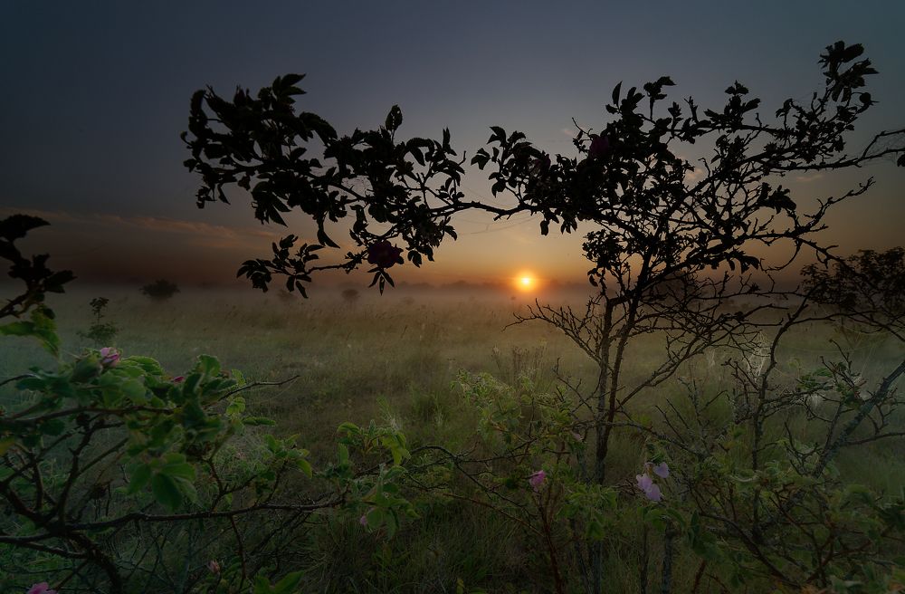 Photograph by Aleksei Degtjarjov
