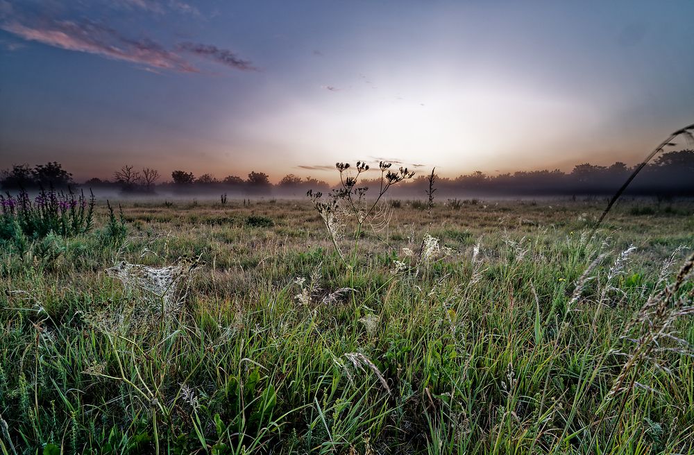 Photograph by Aleksei Degtjarjov