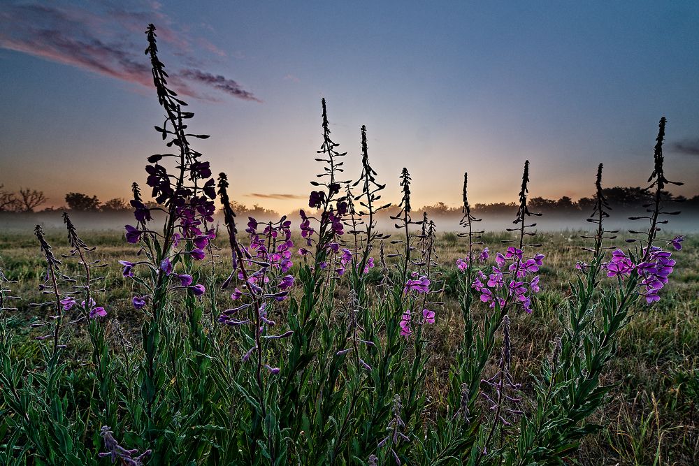 Photograph by Aleksei Degtjarjov