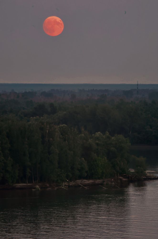 Photograph by Дмитрий Кузнецов