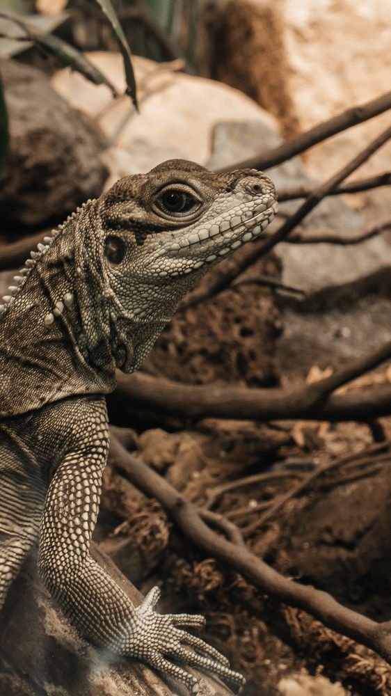 Photograph by Artem Mezhuev