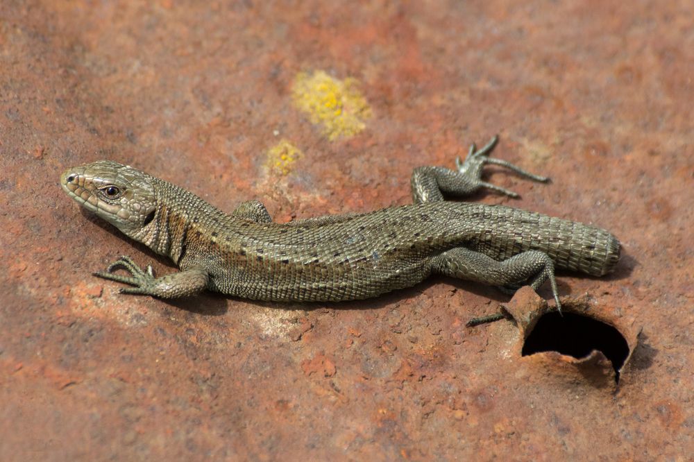 Photograph by Сергей Алексеев