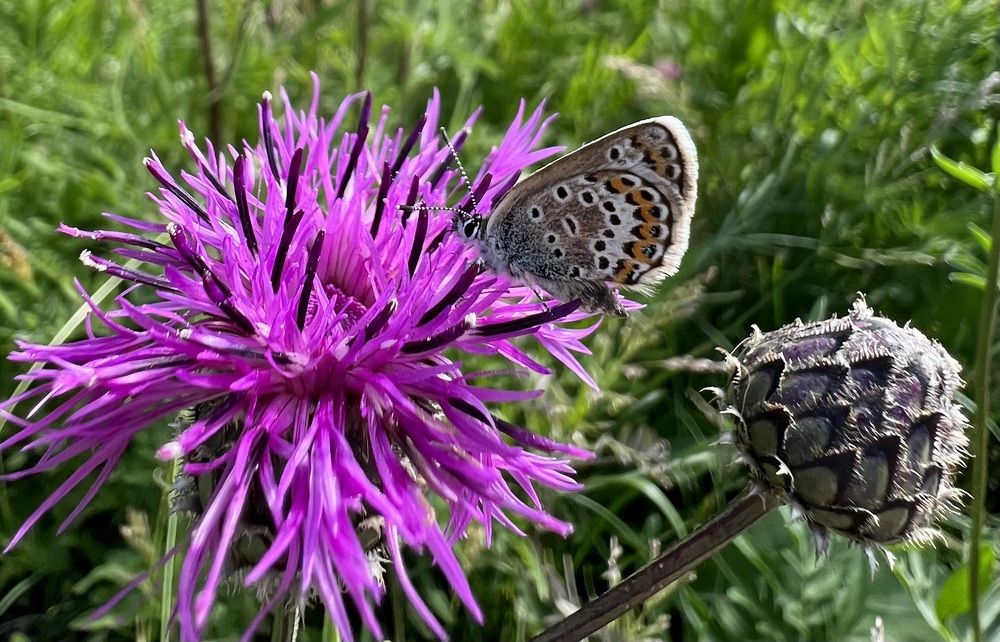 Photograph by Елена Мизина