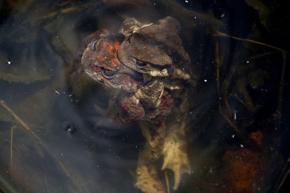 Photograph by Елена Ласун