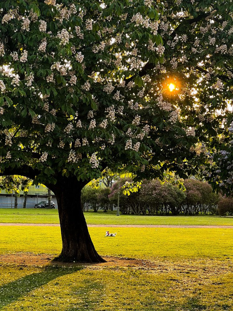 Photograph by Елена Сиушова