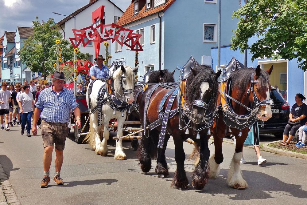 Photograph by backareva irina