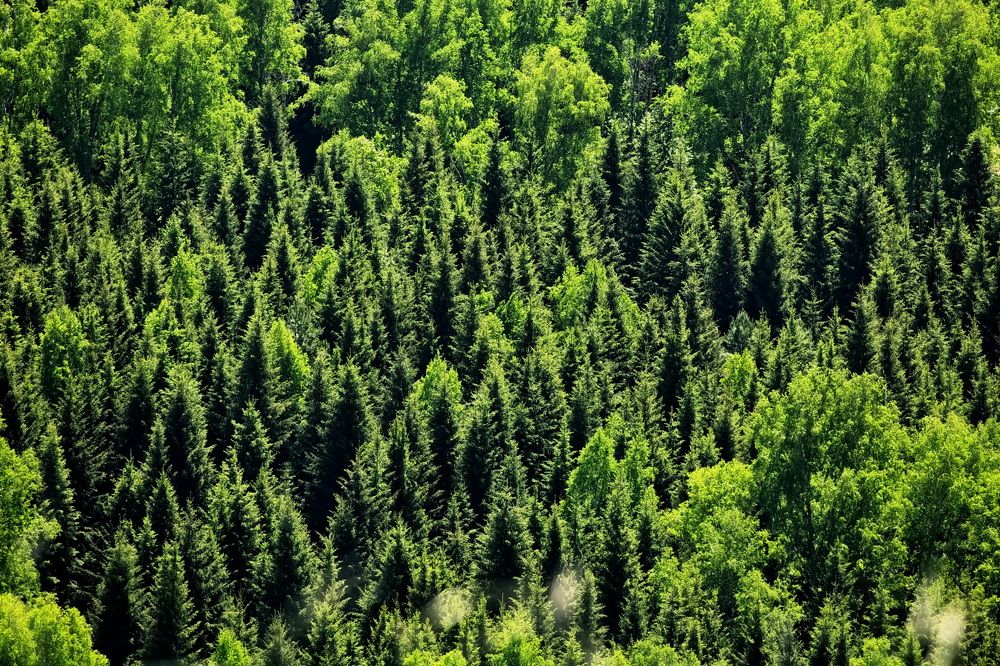 Photograph by Олег Раков