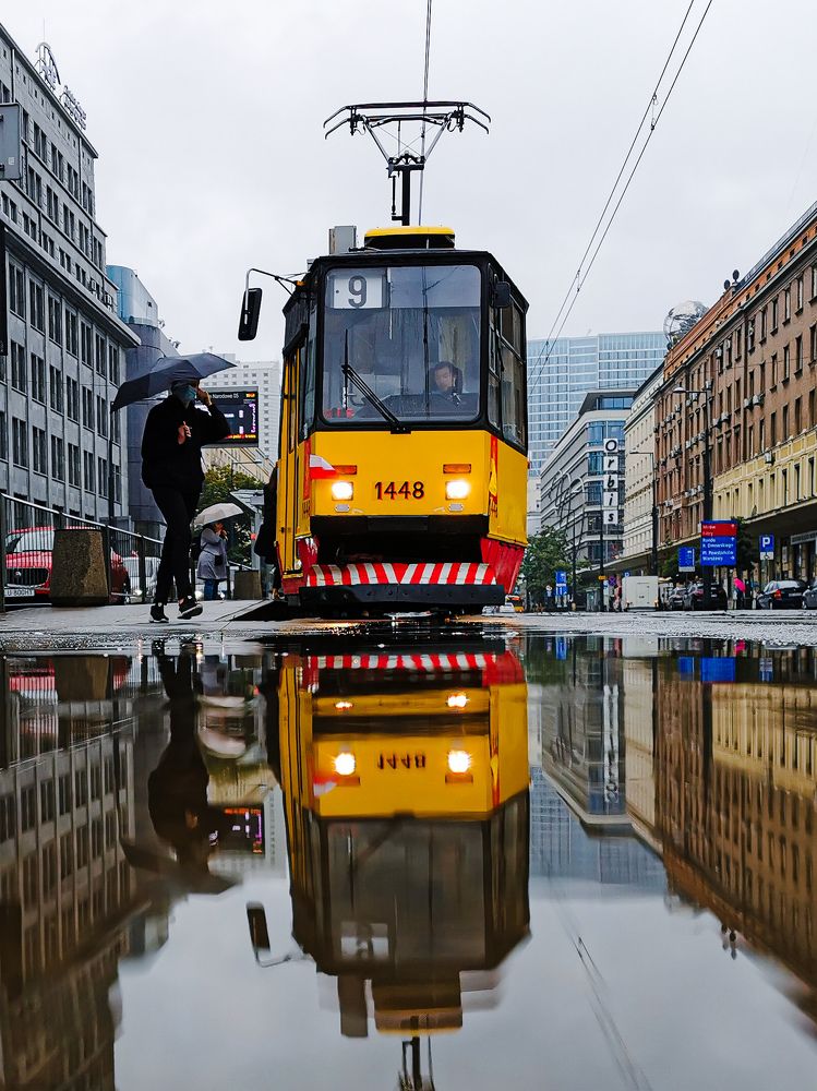 Photograph by Adam Zalewski