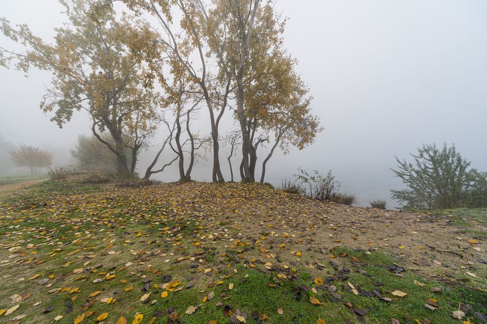 Photograph by Vadim Heinz