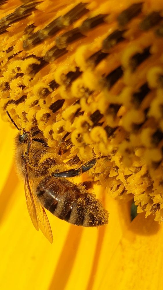 Photograph by Viktorova