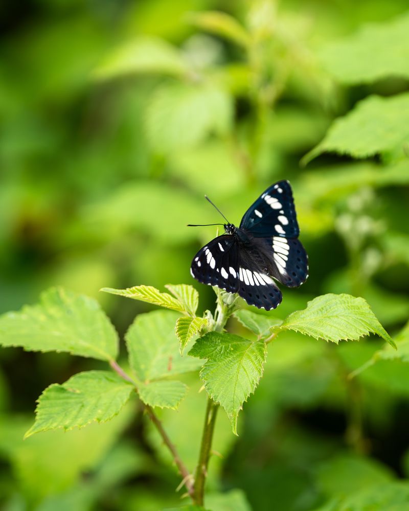 Photograph by Vadim Heinz