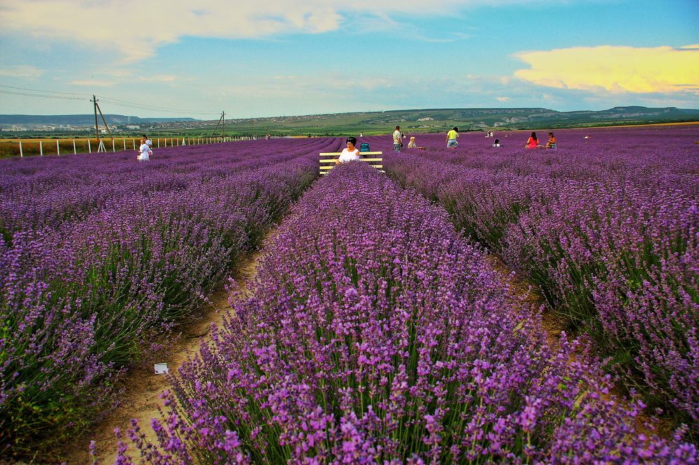 Photograph by Александр Кудрявцев