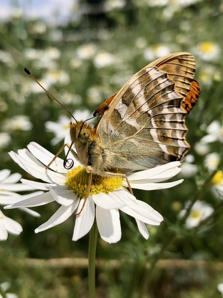 Фотография автора Евгения Елисеева