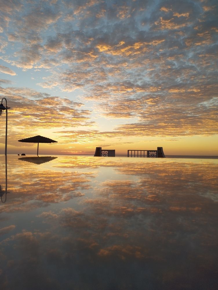 Photograph by احمد