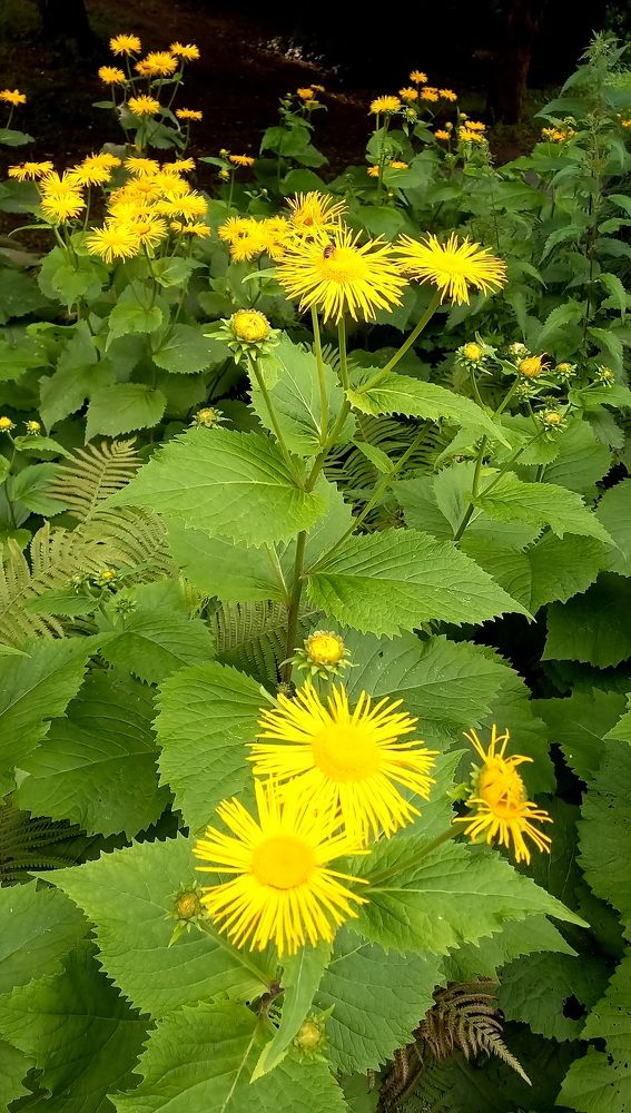 Photograph by Елена Шерман