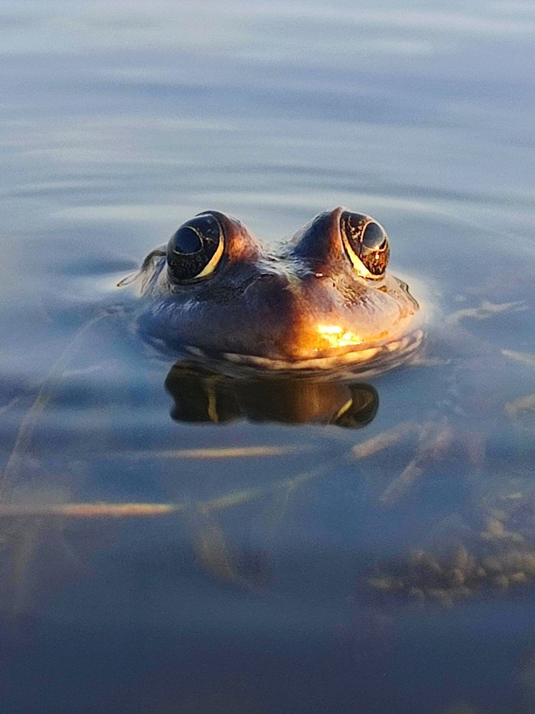 Photograph by Юлия Гинтер