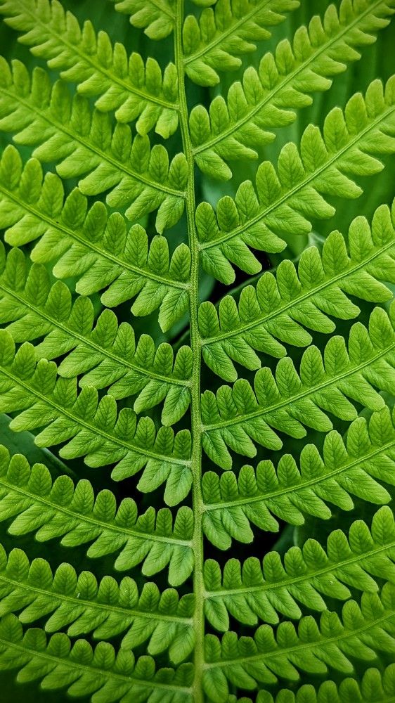 Photograph by Екатерина Колот